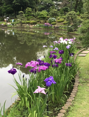 ホソカワ庭園.jpg