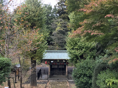 狭山の寺の裏門と紅葉.jpg